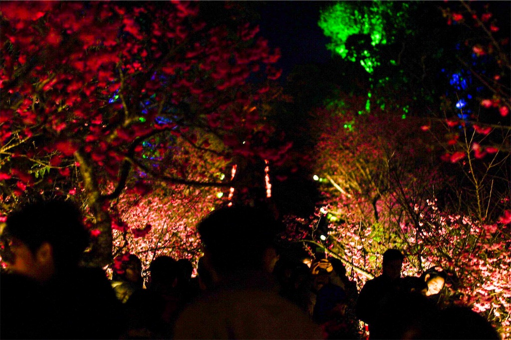 f:id:oki-umeboshi:20170212020135j:image