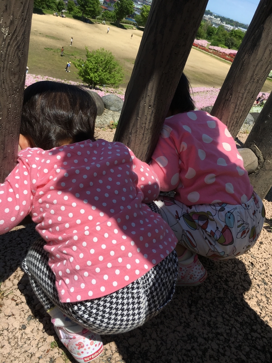f:id:okiagarire:20190521103343j:plain