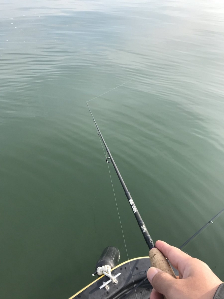 f:id:okiami_inntai:20171225115033j:plain f:id:okiami_inntai:20171225115033j:plain