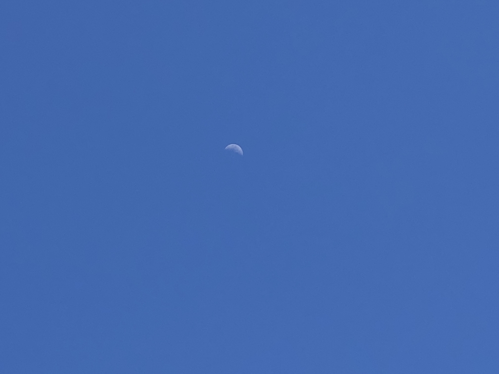 f:id:okie50asobi:20180521173755j:plain f:id:okie50asobi:20180521173755j:plain