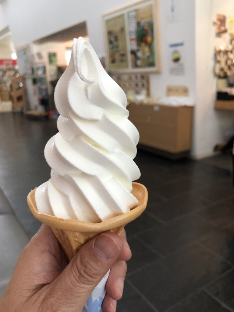 f:id:okie50asobi:20180521173957j:plain f:id:okie50asobi:20180521173957j:plain
