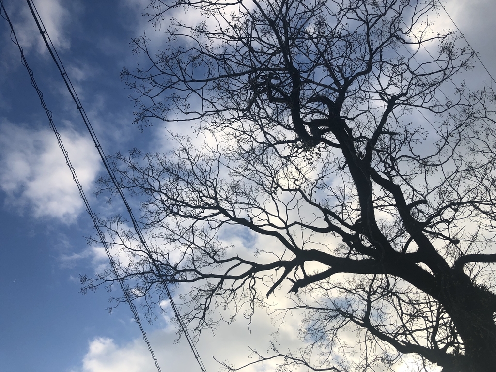 f:id:okie50asobi:20181213170352j:plain f:id:okie50asobi:20181213170352j:plain