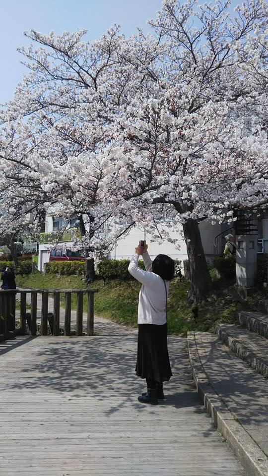 f:id:okie50asobi:20190406190842j:plain