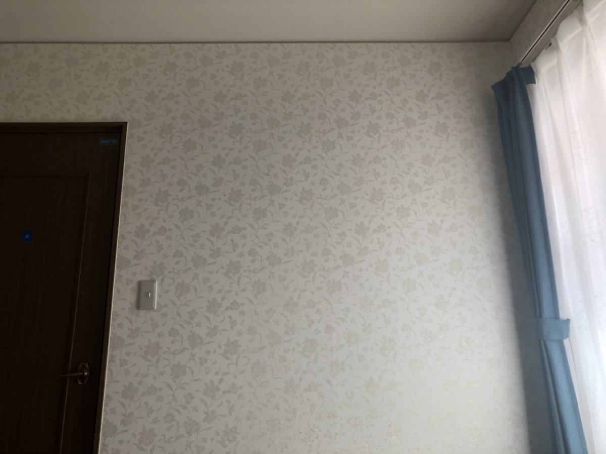 f:id:okie50asobi:20191110210758j:plain f:id:okie50asobi:20191110210758j:plain