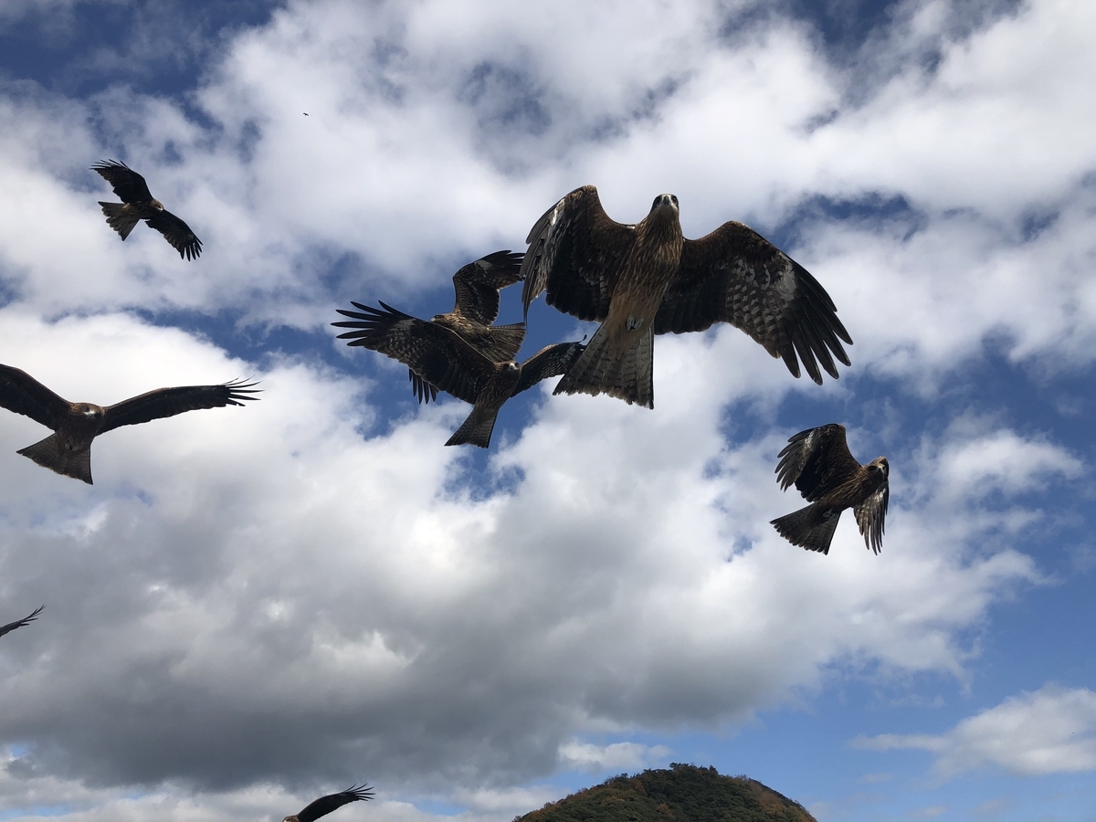 f:id:okie50asobi:20201207180419j:plain