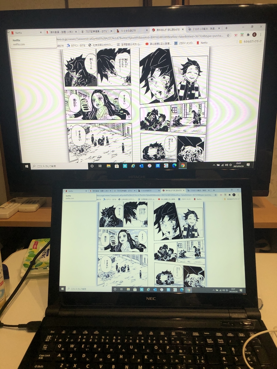 f:id:okie50asobi:20210129233957j:plain
