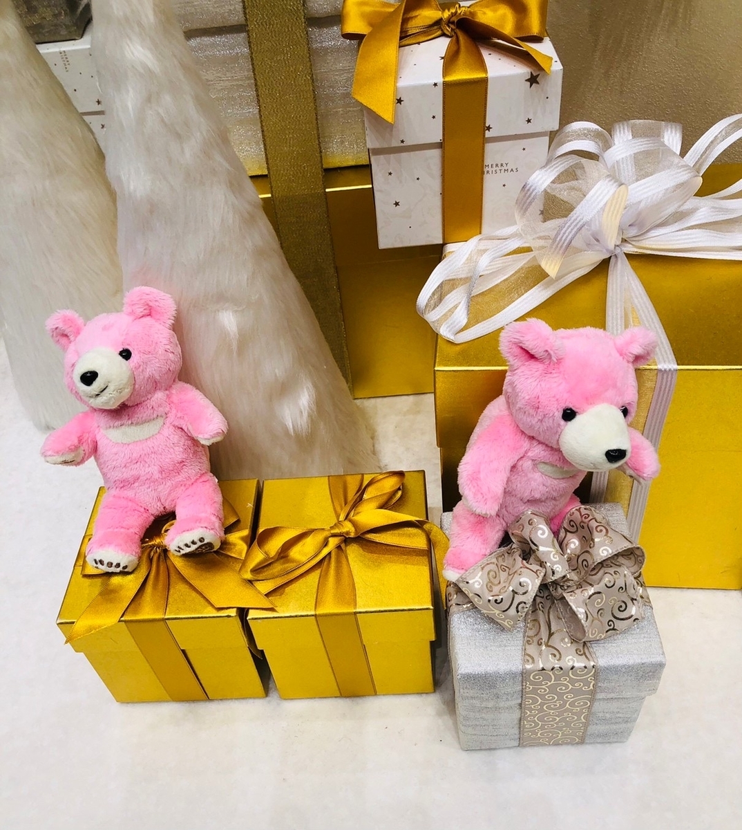 f:id:okie50asobi:20211212205447j:plain