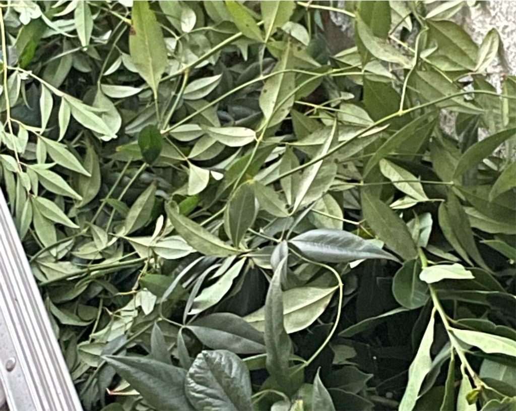 f:id:okie50asobi:20220924180034j:image f:id:okie50asobi:20220924180034j:image