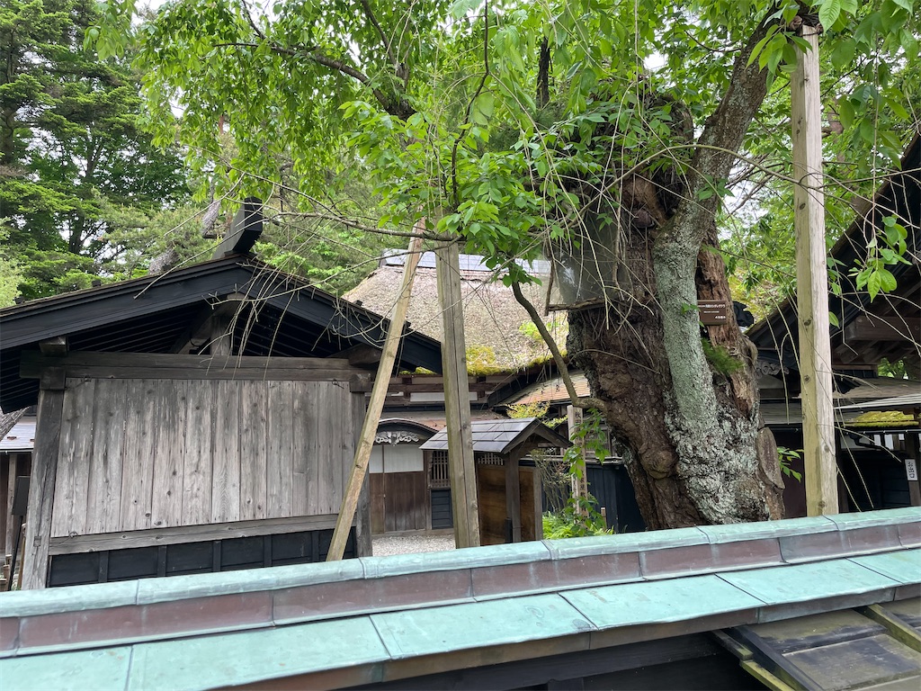 f:id:okie50asobi:20230521215057j:image f:id:okie50asobi:20230521215057j:image