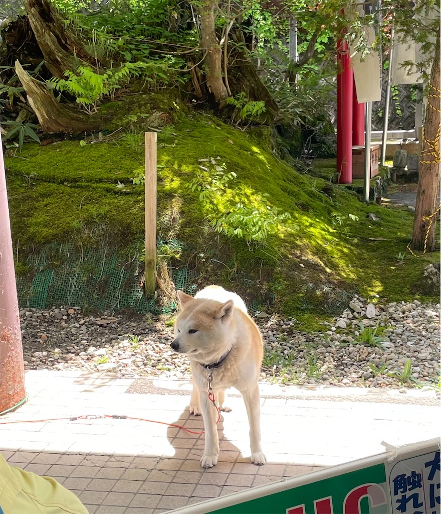 f:id:okie50asobi:20230521215126j:image f:id:okie50asobi:20230521215126j:image