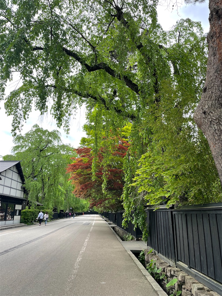 f:id:okie50asobi:20230521215204j:image f:id:okie50asobi:20230521215204j:image