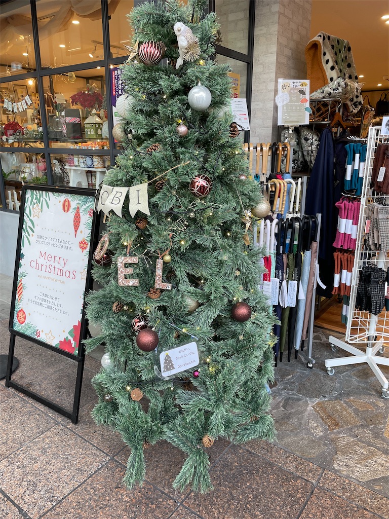 f:id:okie50asobi:20231209171606j:image f:id:okie50asobi:20231209171606j:image