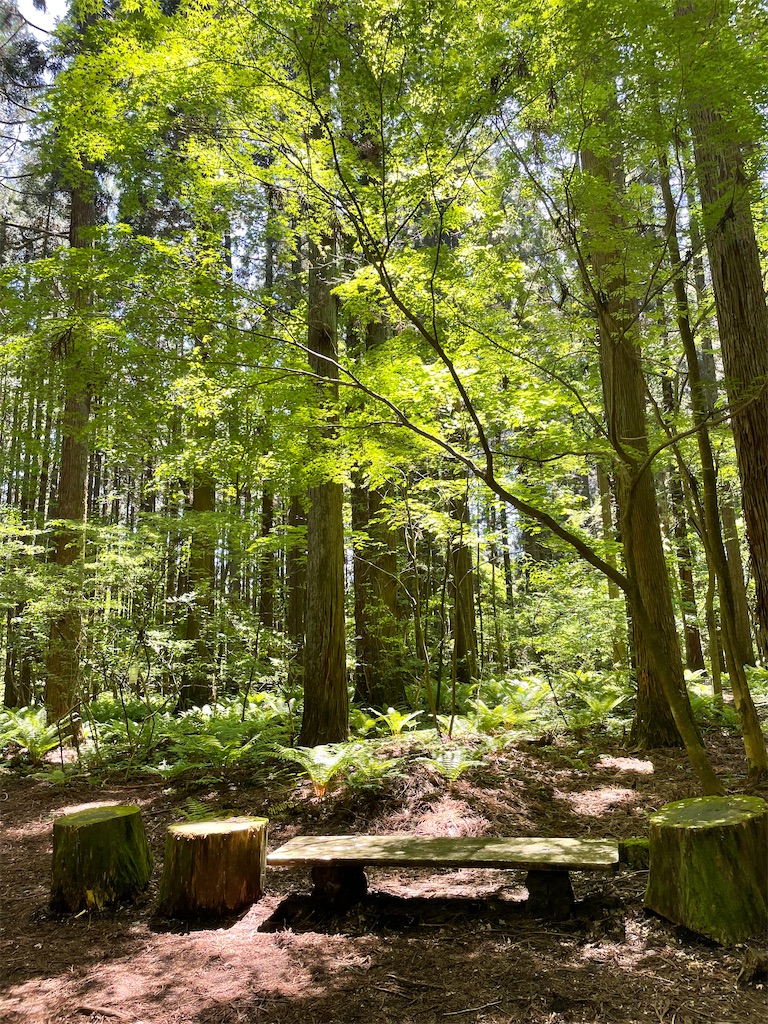 f:id:okie50asobi:20240515215954j:image f:id:okie50asobi:20240515215954j:image