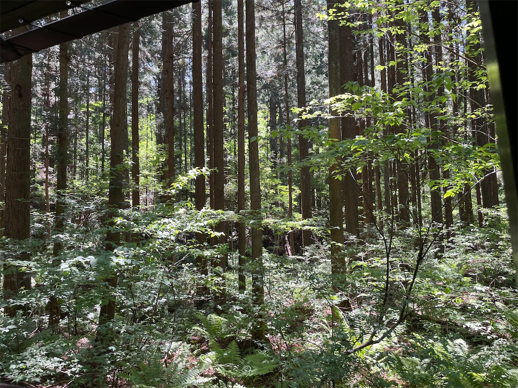 f:id:okie50asobi:20240515215957j:image f:id:okie50asobi:20240515215957j:image