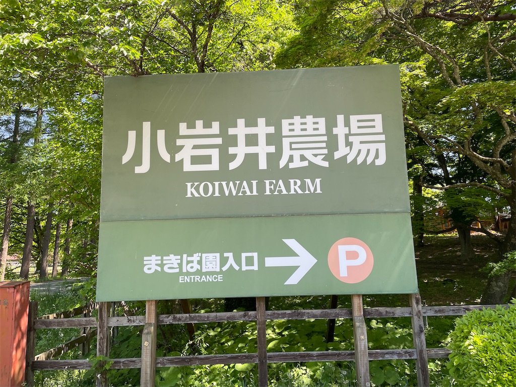 f:id:okie50asobi:20240515220003j:image f:id:okie50asobi:20240515220003j:image