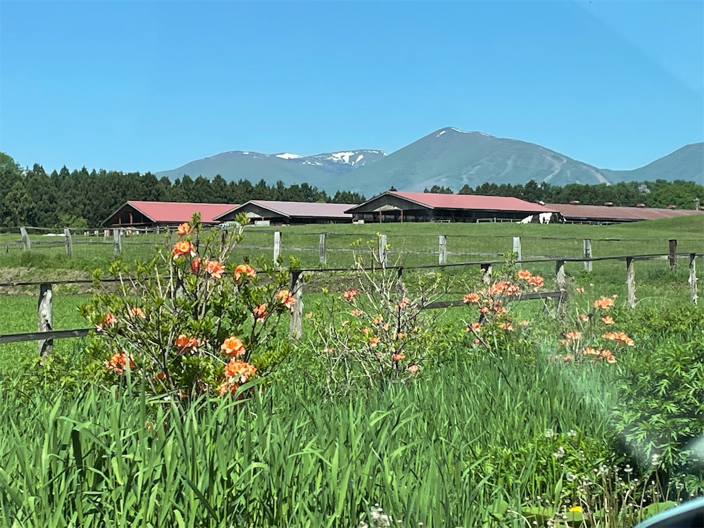 f:id:okie50asobi:20240515220024j:image f:id:okie50asobi:20240515220024j:image