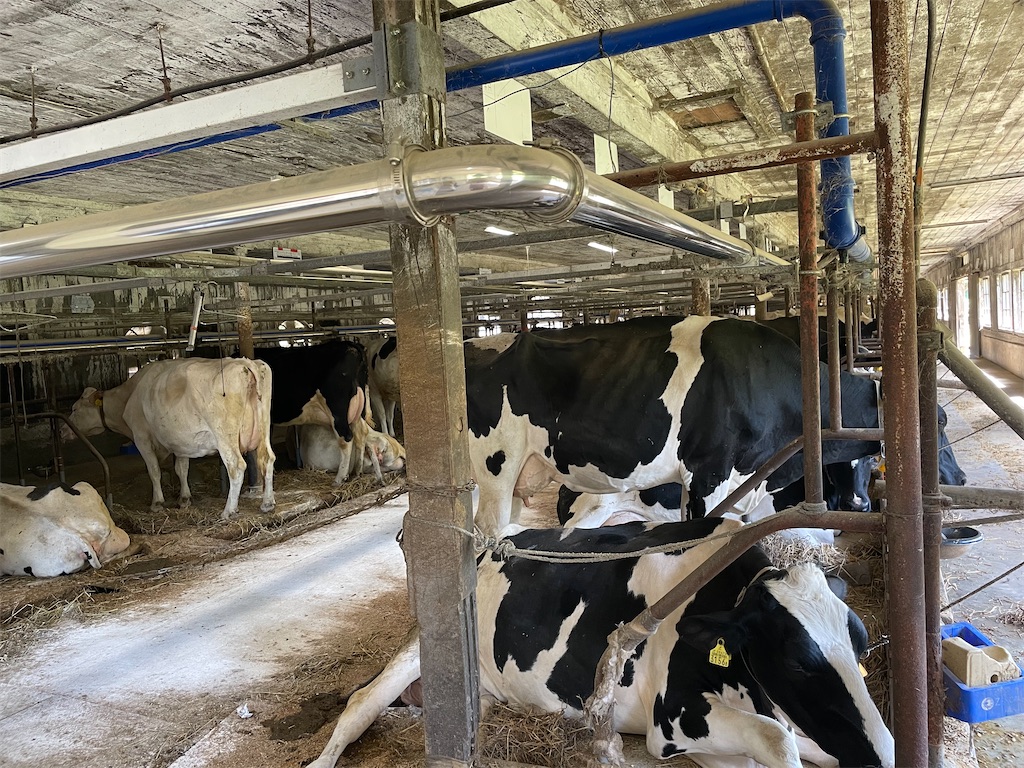 f:id:okie50asobi:20240515220037j:image f:id:okie50asobi:20240515220037j:image