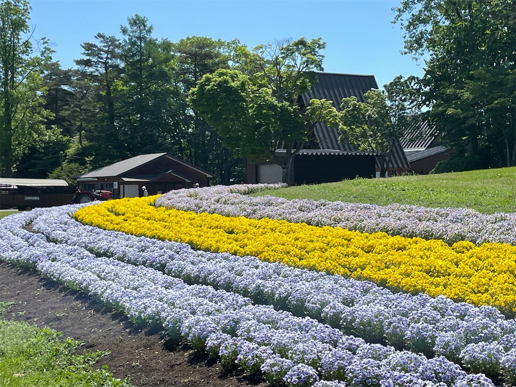 f:id:okie50asobi:20240515220104j:image f:id:okie50asobi:20240515220104j:image