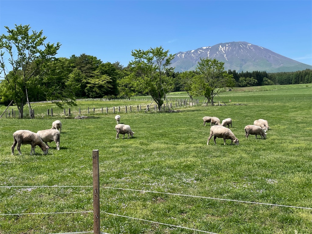 f:id:okie50asobi:20240515220106j:image f:id:okie50asobi:20240515220106j:image