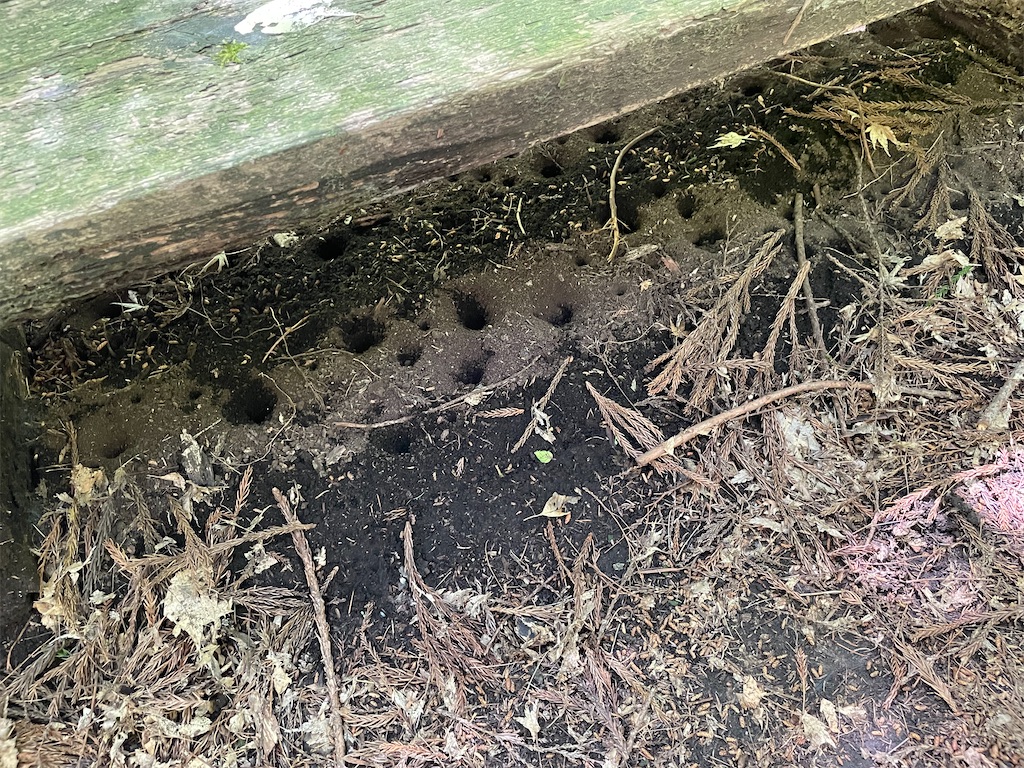 f:id:okie50asobi:20240515220117j:image f:id:okie50asobi:20240515220117j:image