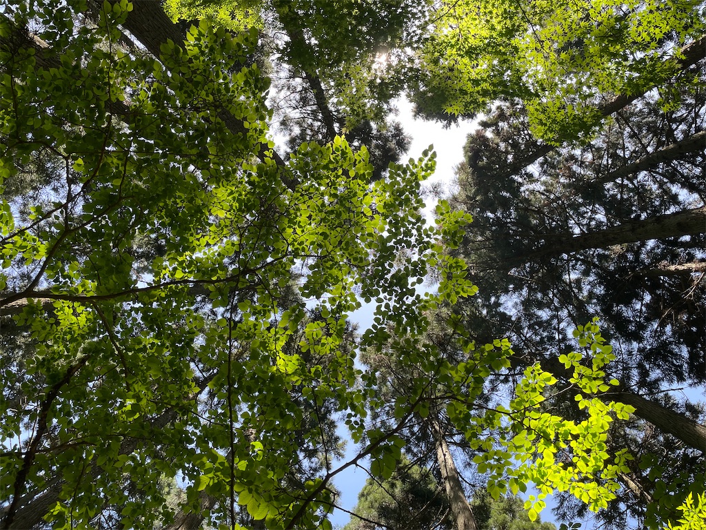 f:id:okie50asobi:20240515220127j:image f:id:okie50asobi:20240515220127j:image