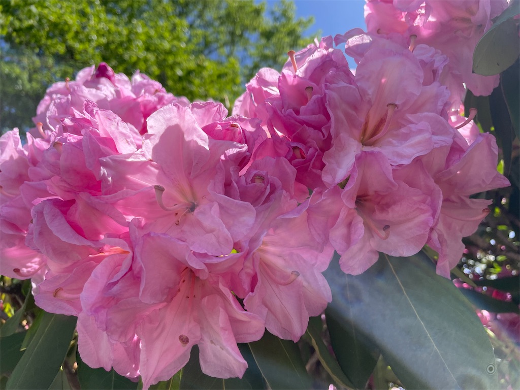 f:id:okie50asobi:20240515220213j:image f:id:okie50asobi:20240515220213j:image