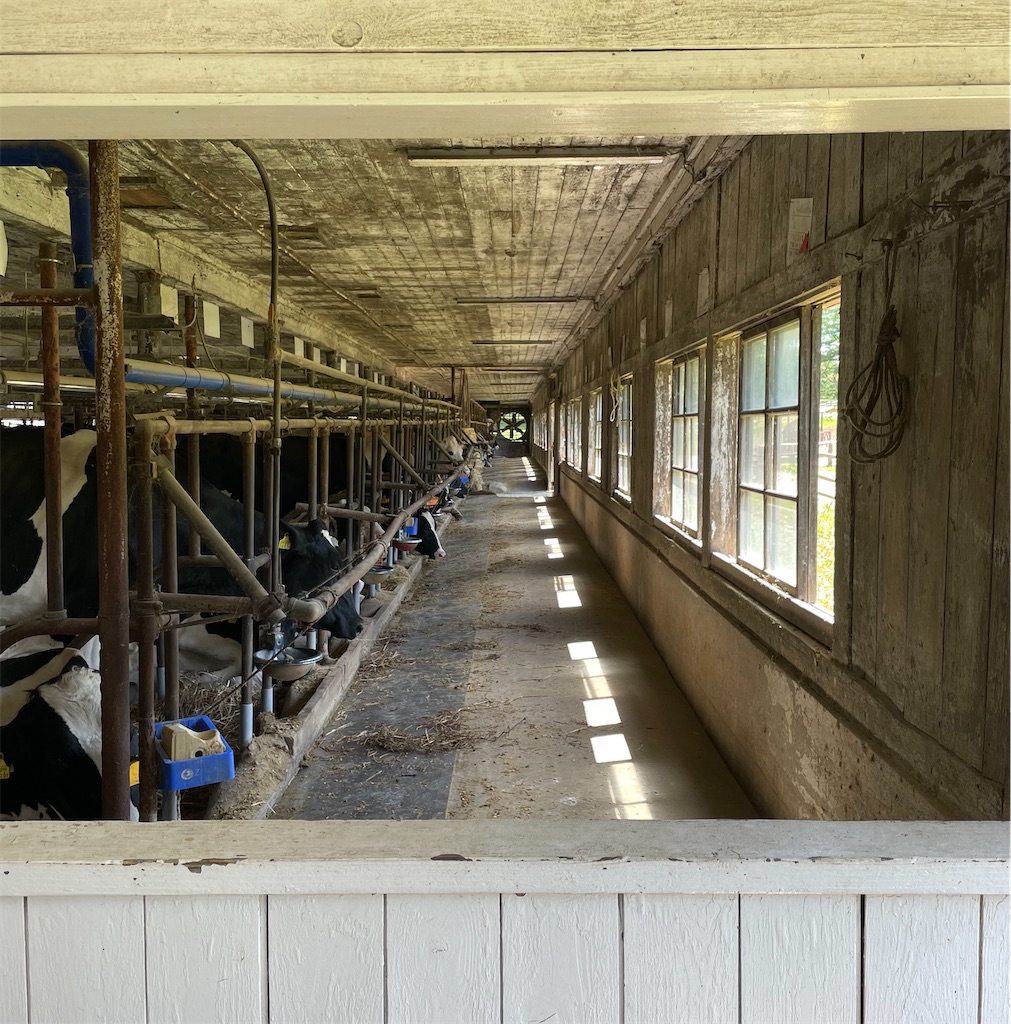 f:id:okie50asobi:20240515220216j:image f:id:okie50asobi:20240515220216j:image