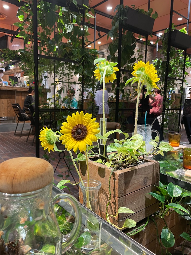 f:id:okie50asobi:20240729221133j:image f:id:okie50asobi:20240729221133j:image