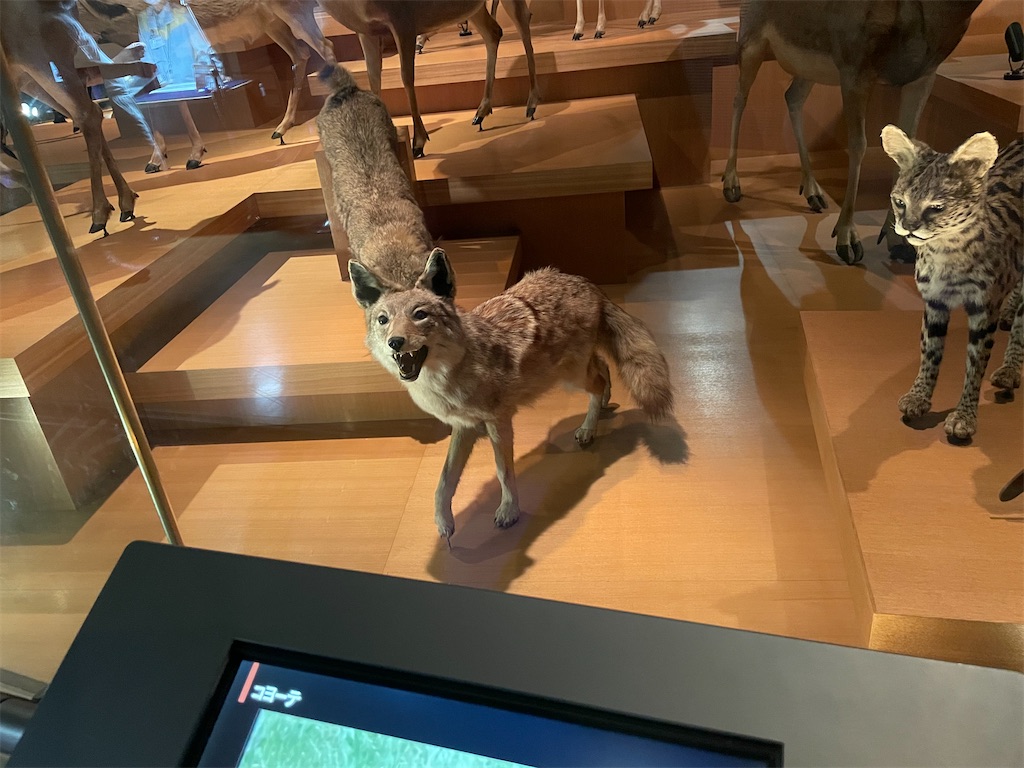 f:id:okie50asobi:20240729221406j:image f:id:okie50asobi:20240729221406j:image