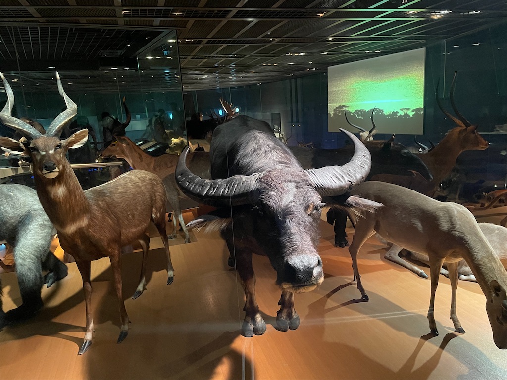 f:id:okie50asobi:20240729221412j:image f:id:okie50asobi:20240729221412j:image