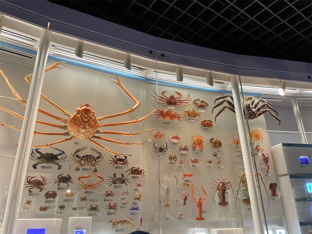 f:id:okie50asobi:20240729221428j:image f:id:okie50asobi:20240729221428j:image