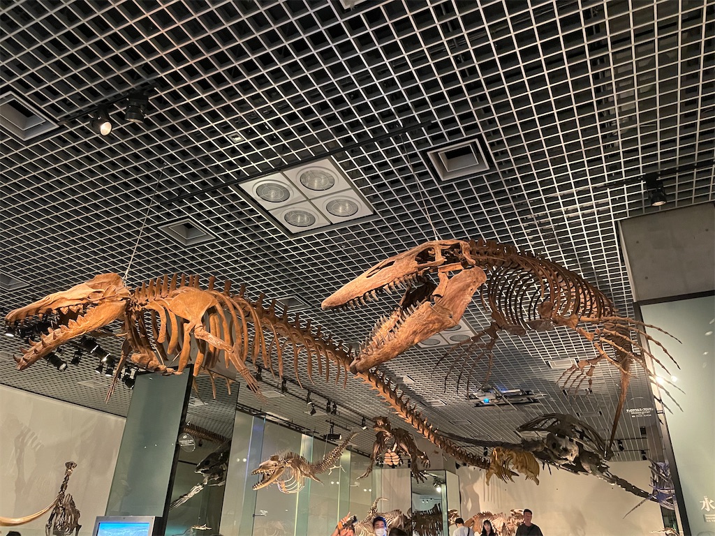 f:id:okie50asobi:20240729221459j:image f:id:okie50asobi:20240729221459j:image