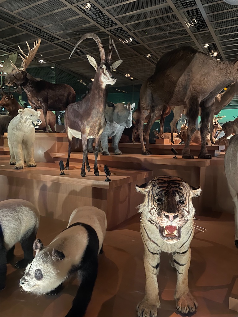 f:id:okie50asobi:20240729221536j:image f:id:okie50asobi:20240729221536j:image