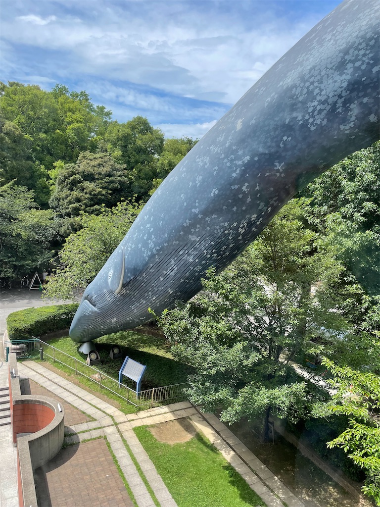 f:id:okie50asobi:20240729221547j:image f:id:okie50asobi:20240729221547j:image