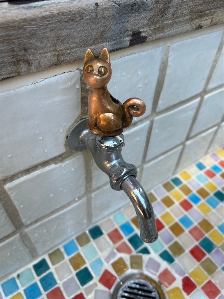 f:id:okie50asobi:20240729223156j:image f:id:okie50asobi:20240729223156j:image