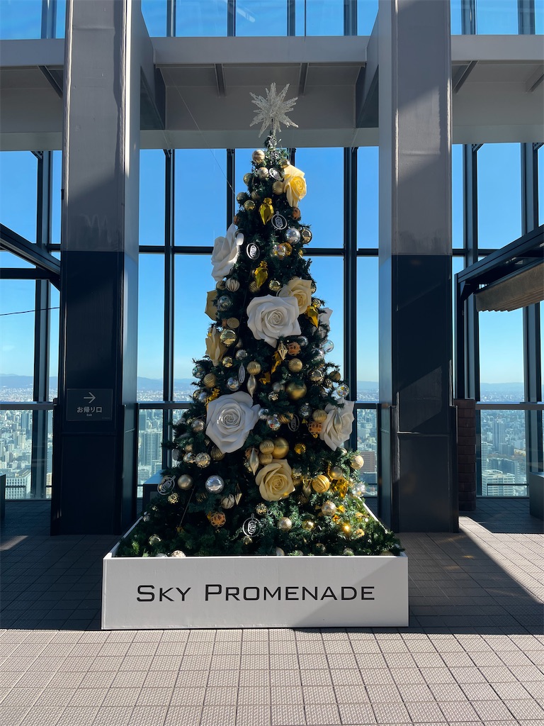 f:id:okie50asobi:20241210202456j:image f:id:okie50asobi:20241210202456j:image