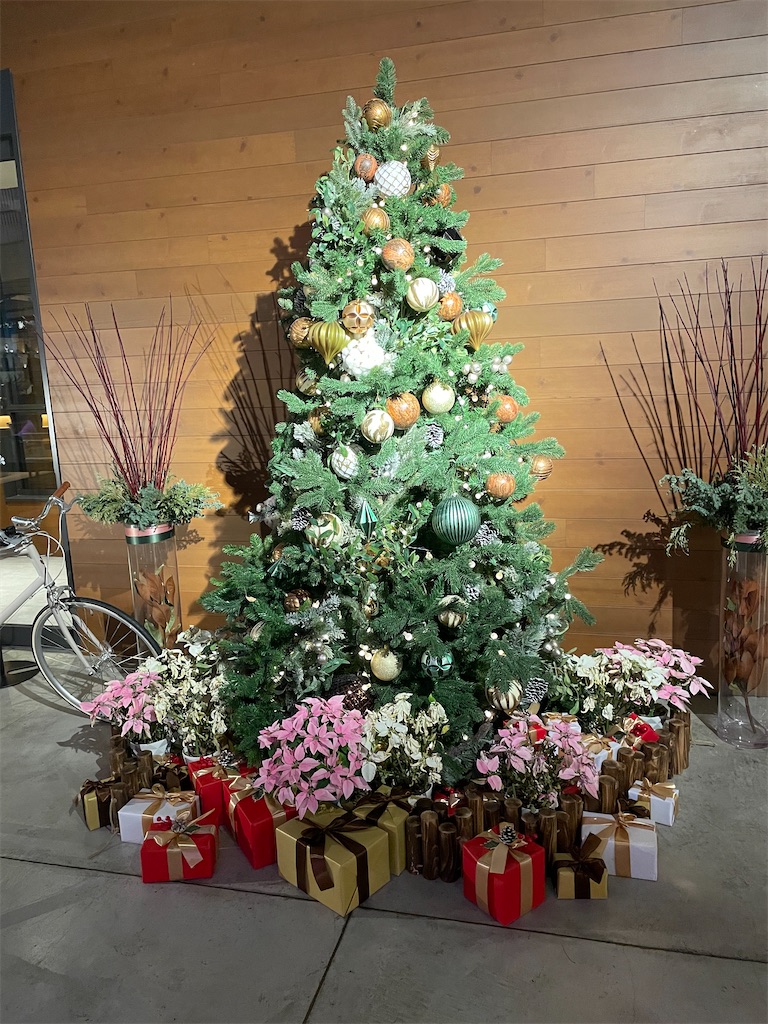 f:id:okie50asobi:20241210202515j:image f:id:okie50asobi:20241210202515j:image