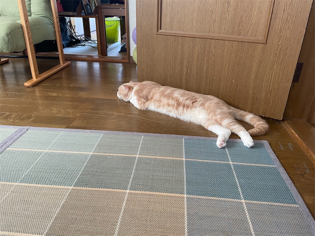 f:id:okie50asobi:20250629142508j:image f:id:okie50asobi:20250629142508j:image