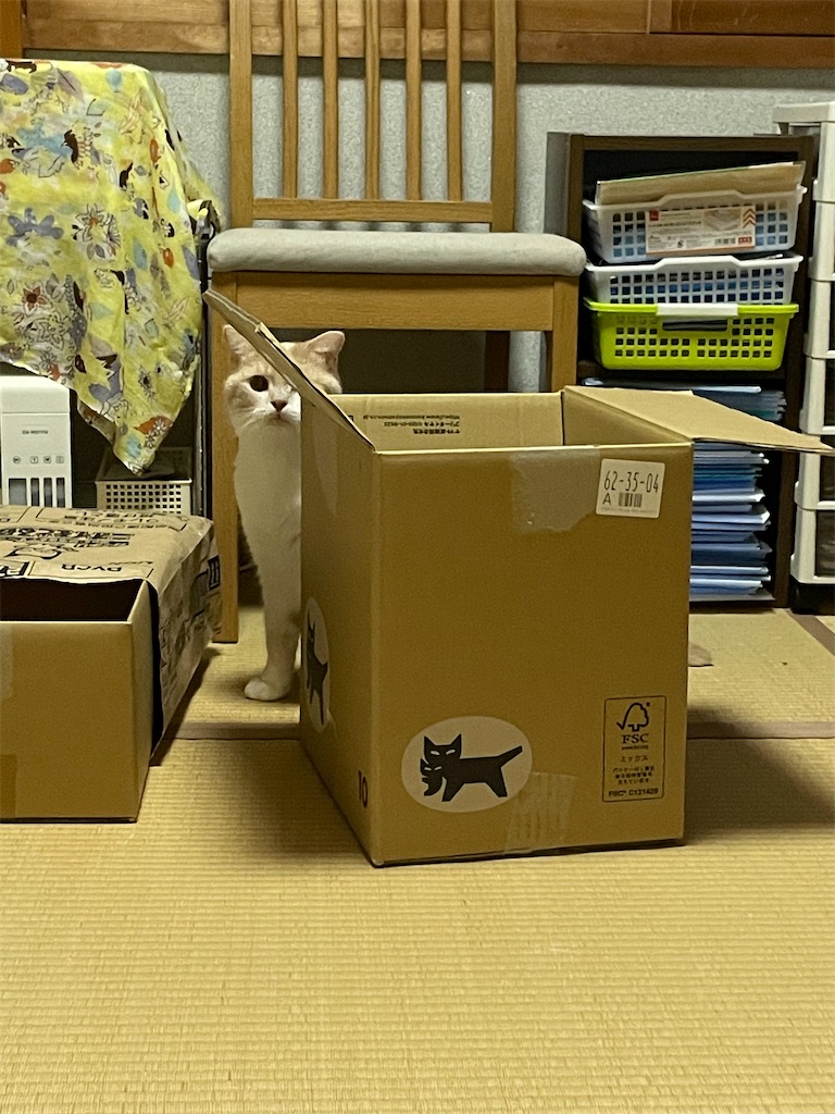 f:id:okie50asobi:20251021203252j:image f:id:okie50asobi:20251021203252j:image