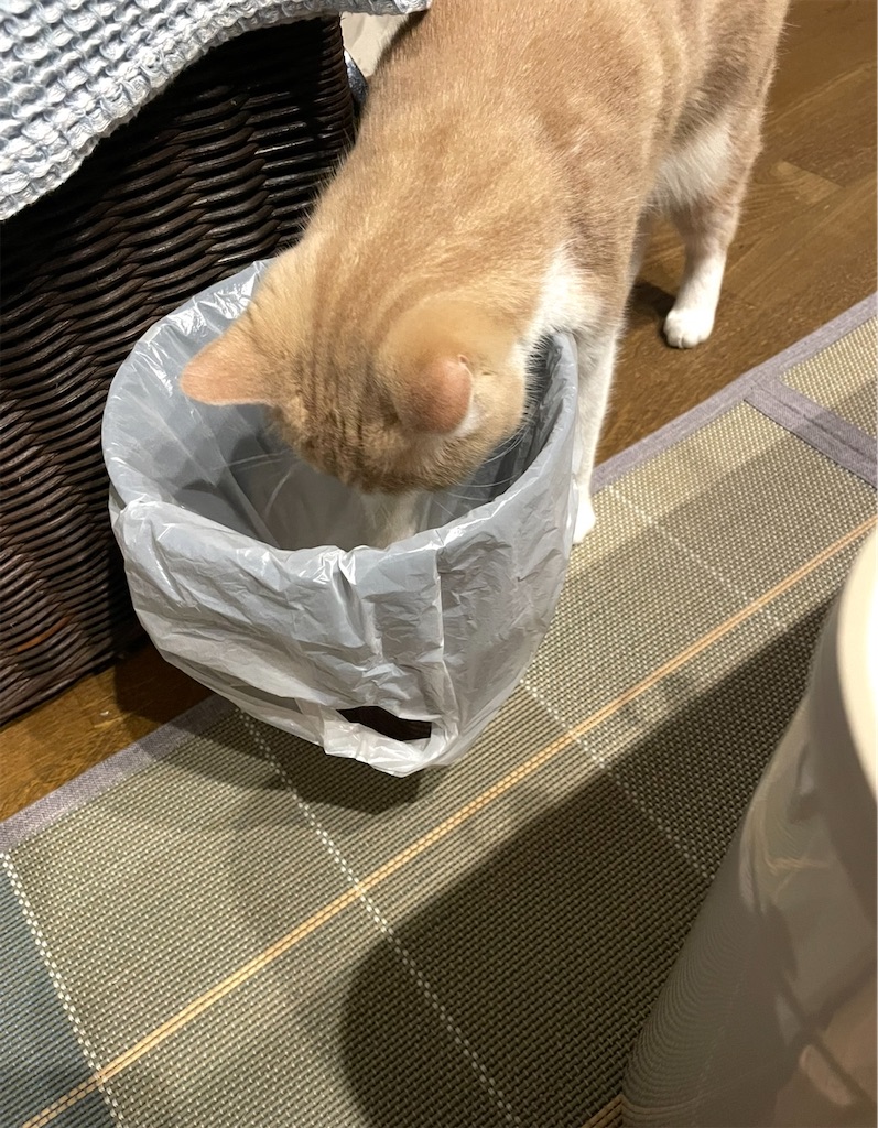 f:id:okie50asobi:20251107221932j:image f:id:okie50asobi:20251107221932j:image