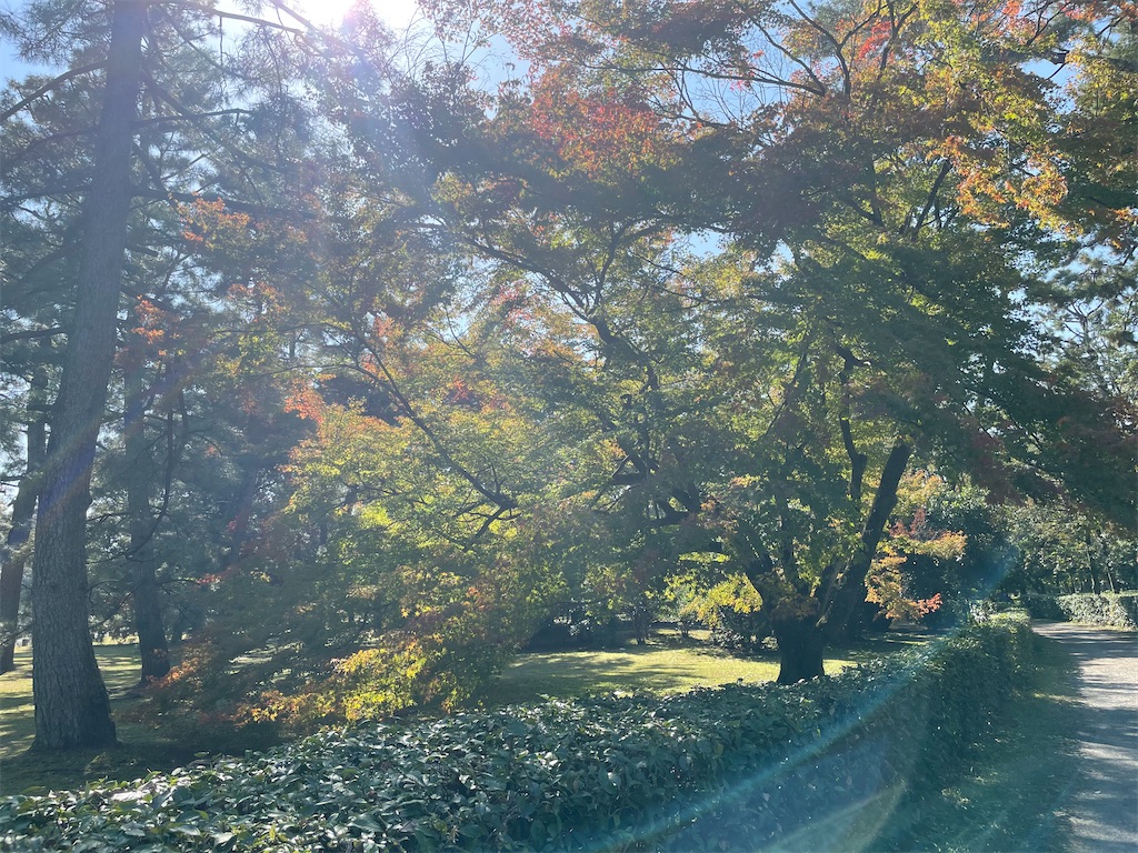 f:id:okie50asobi:20251108141007j:image f:id:okie50asobi:20251108141007j:image