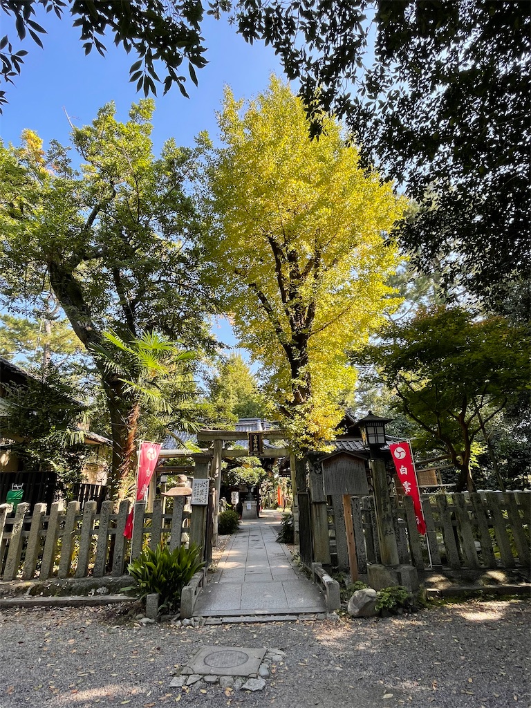 f:id:okie50asobi:20251108141010j:image f:id:okie50asobi:20251108141010j:image