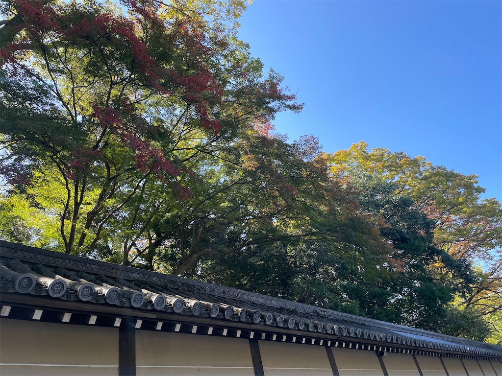 f:id:okie50asobi:20251108141031j:image f:id:okie50asobi:20251108141031j:image