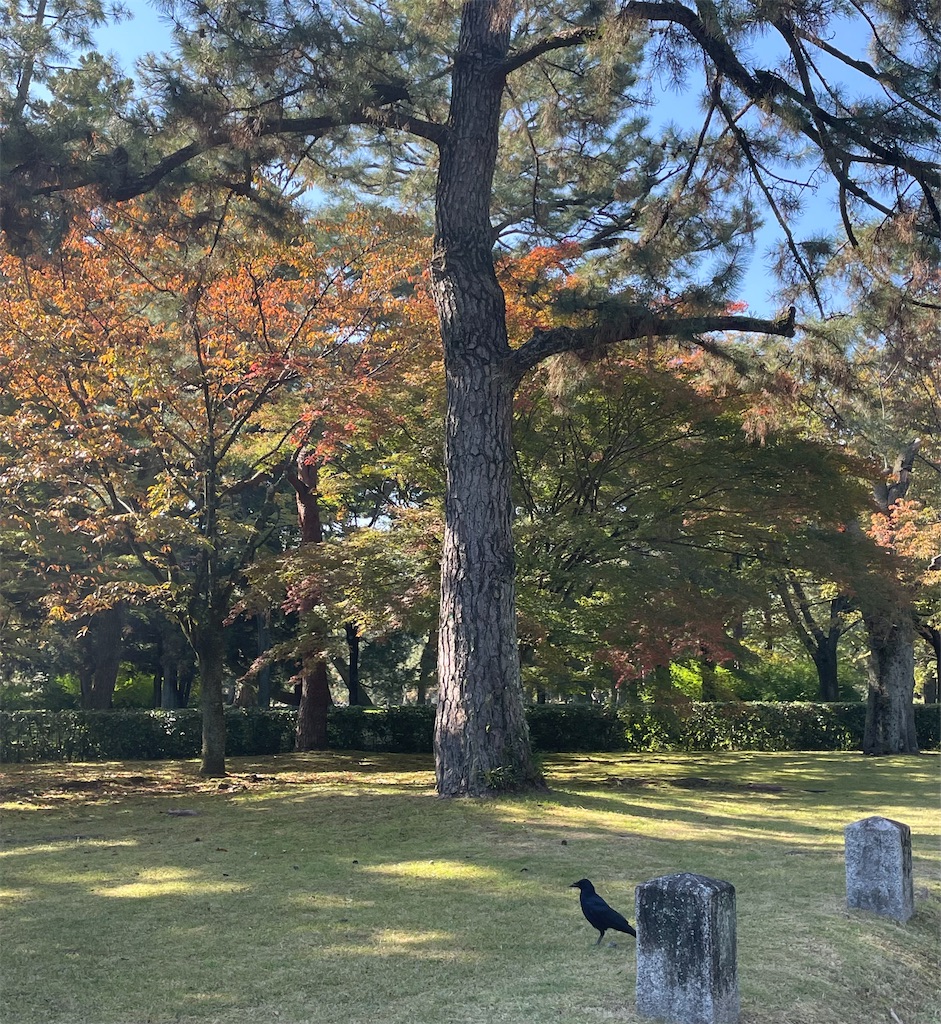 f:id:okie50asobi:20251108141050j:image f:id:okie50asobi:20251108141050j:image