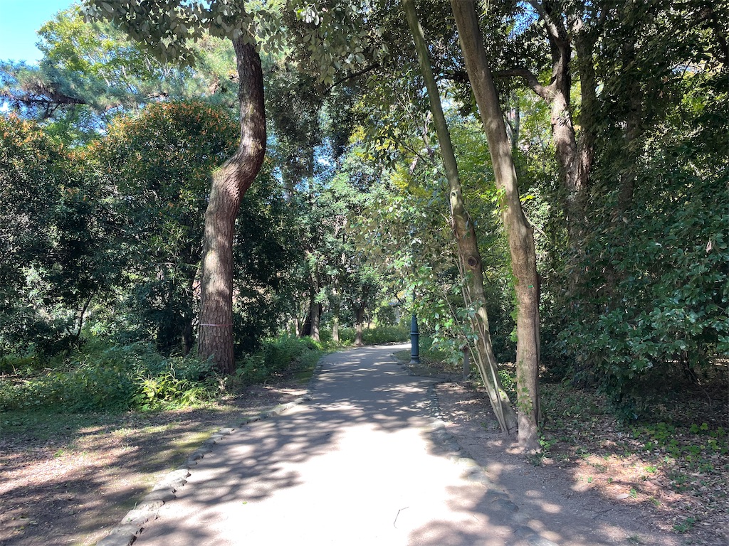 f:id:okie50asobi:20251108141055j:image f:id:okie50asobi:20251108141055j:image