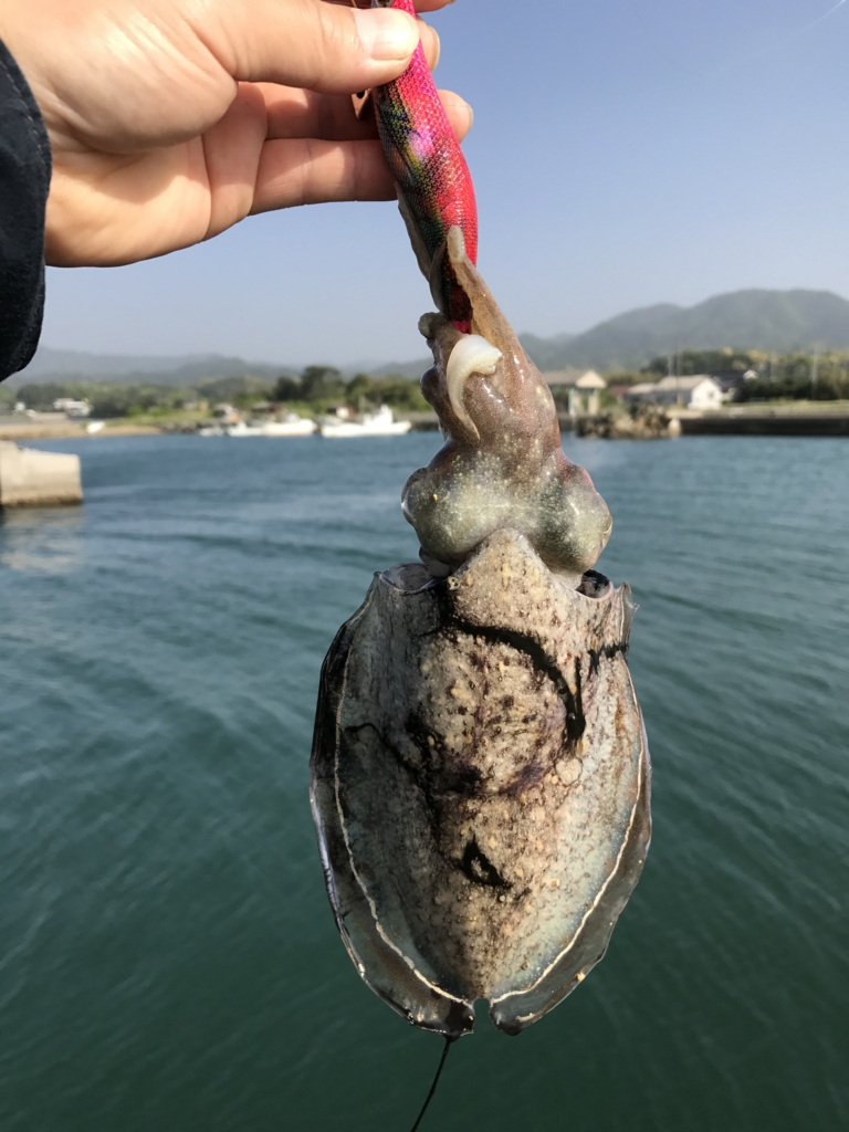 f:id:okimusan:20170507223251j:plain f:id:okimusan:20170507223251j:plain