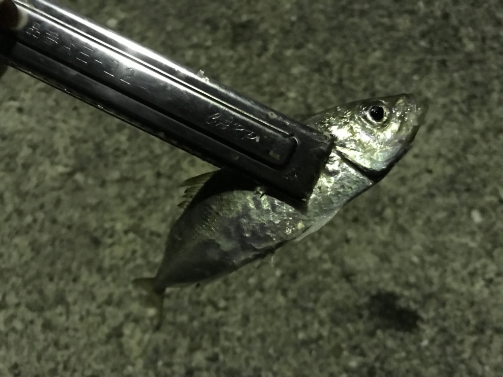 f:id:okimusan:20170507232143j:plain f:id:okimusan:20170507232143j:plain