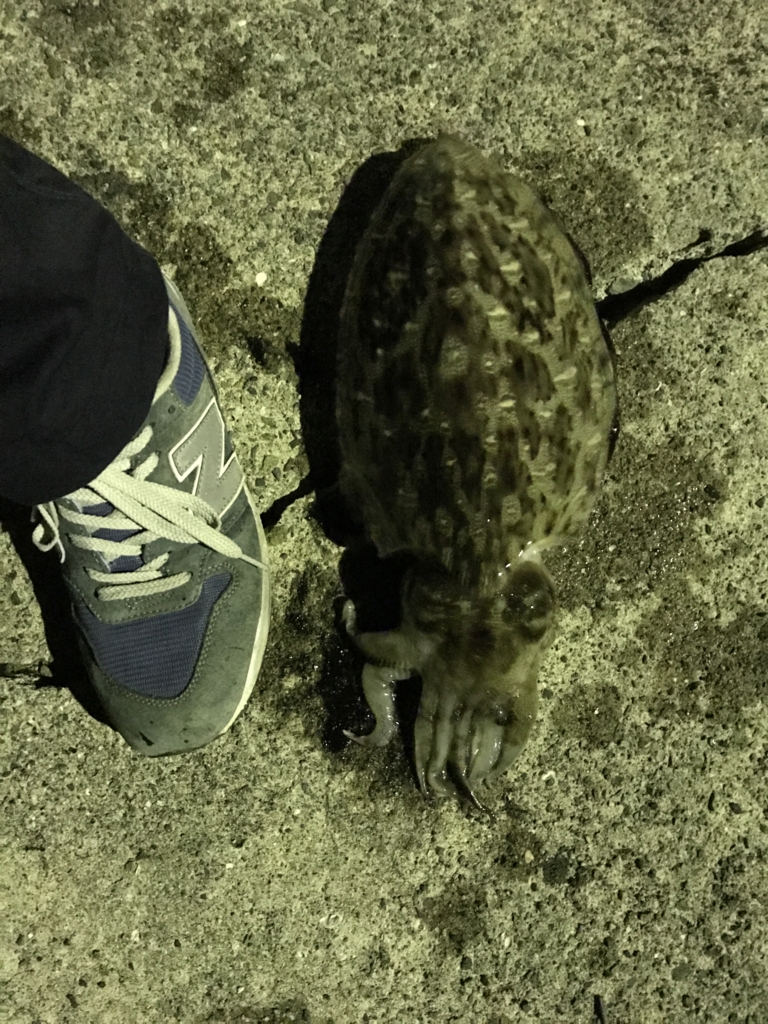 f:id:okimusan:20170507233806j:plain f:id:okimusan:20170507233806j:plain