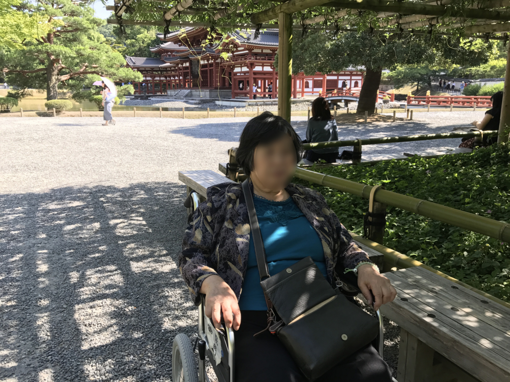 f:id:okimusan:20170616232907j:plain