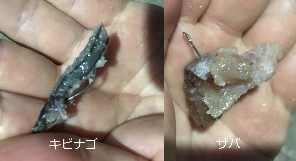 f:id:okimusan:20170728000420j:plain